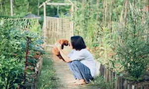 Tôi về quê nhưng sống sướng hơn bám trụ ở thành phố Tôi về quê nhưng sống sướng hơn bám trụ ở thành phố