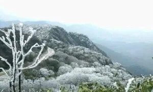 Băng giá xuất hiện ở vùng cao Nghệ An Băng giá xuất hiện ở vùng cao Nghệ An