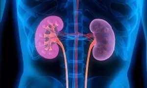 7 triệu chứng ung thư thận dễ bị bỏ qua 7 triệu chứng ung thư thận dễ bị bỏ qua