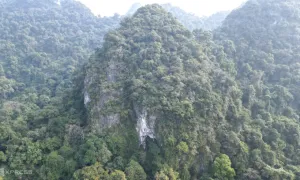 Nam du khách mất tích khi tham quan rừng Cúc Phương Nam du khách mất tích khi tham quan rừng Cúc Phương